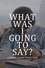 What Was I Going to Say? photo