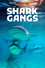 Shark Gangs
