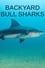 Backyard Bull Sharks photo