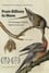 From Billions to None: The Passenger Pigeon's Flight to Extinction photo