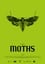 The Moths photo