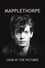 Mapplethorpe: Look at the Pictures photo