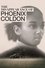 The Disappearance of Phoenix Coldon photo