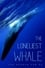 The Loneliest Whale: The Search for 52 photo
