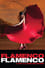 Flamenco Flamenco photo