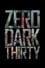 Zero Dark Thirty photo