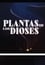 Plantas de los Dioses photo