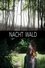 Nacht Wald photo