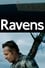 Ravens photo