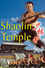 Shaolin Temple photo