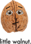 Little Walnut Productions