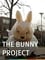 The Bunny Project photo