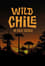 Wild Chile: Un viaje salvaje photo