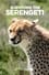 Surviving the Serengeti photo