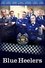Blue Heelers photo