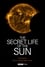 The Secret Life of the Sun photo