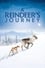 A Reindeer's Journey photo