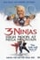 3 Ninjas: High Noon at Mega Mountain photo