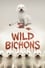 Wild Bichons photo