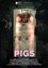 Pigs photo