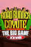 Big Game XXVIII: Road Runner vs. Coyote photo