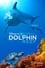 Dolphin Reef photo