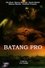 Batang Pro photo