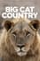 Big Cat Country photo