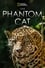 The Phantom Cat photo