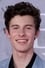 Shawn Mendes photo