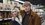 Aflevering 10