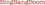 BingBangBoom