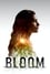 Bloom photo