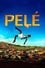 Pelé: Birth of a Legend photo