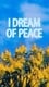 I Dream of Peace photo