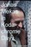 Jonas Mekas in Kodachrome Days photo