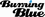 Burning Blue