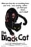 The Black Cat photo