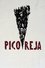 Pico Reja: The Truth Buried Beneath photo