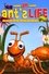 An Ant's Life photo