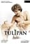 Tulipan photo