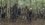 Aflevering 1