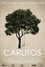 Carlitos photo