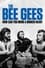 The Bee Gees: How Can You Mend a Broken Heart photo