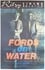 Fords on Water photo