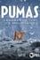 Pumas: Legends of the Ice Mountains photo