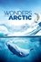 Wonders of the Arctic photo