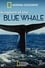 Kingdom of the Blue Whale photo