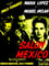 Salon Mexico photo