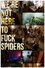 We're Not Here to Fuck Spiders photo